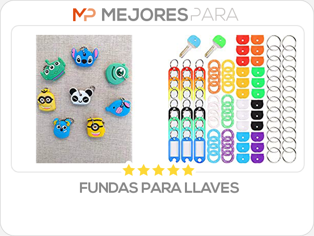 fundas para llaves