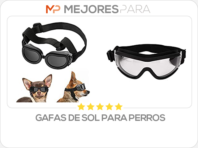 gafas de sol para perros