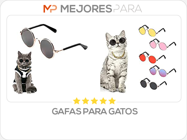 gafas para gatos