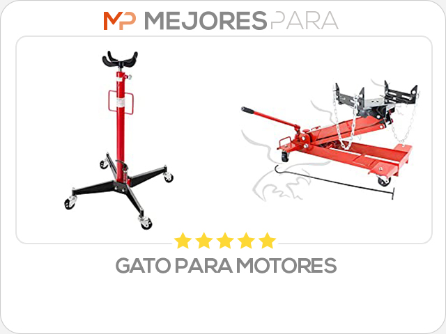 gato para motores