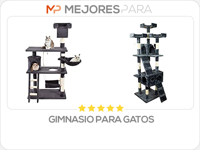 gimnasio para gatos