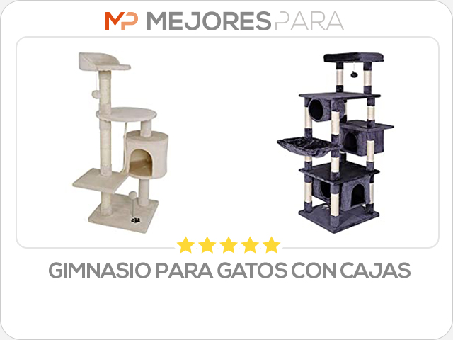 gimnasio para gatos con cajas