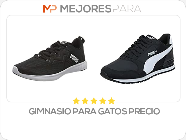 gimnasio para gatos precio