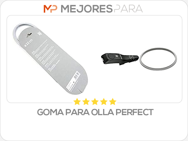 goma para olla perfect