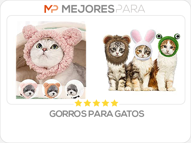 gorros para gatos