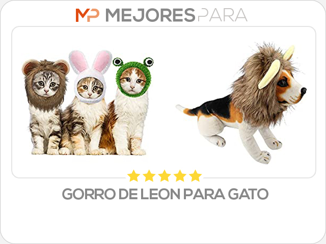 gorro de leon para gato