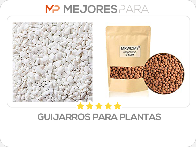 guijarros para plantas