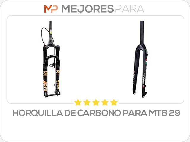 horquilla de carbono para mtb 29