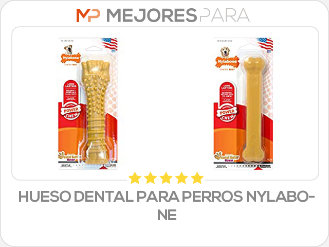 Hueso dental para perros Nylabone