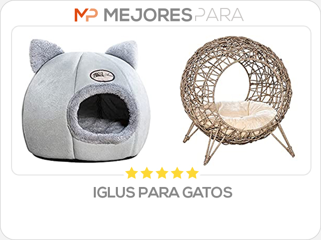 iglus para gatos