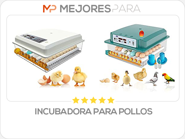 incubadora para pollos