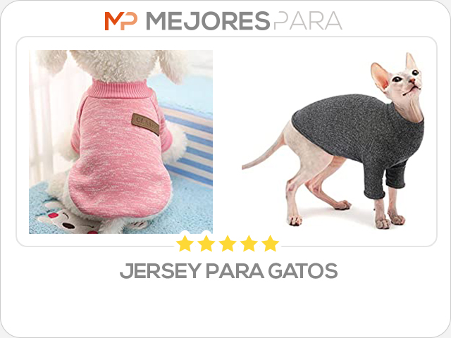 jersey para gatos