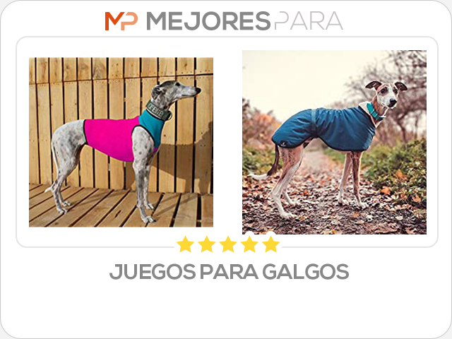 juegos para galgos