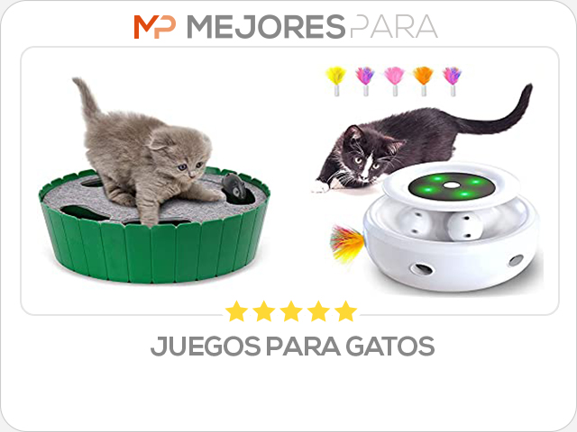 juegos para gatos