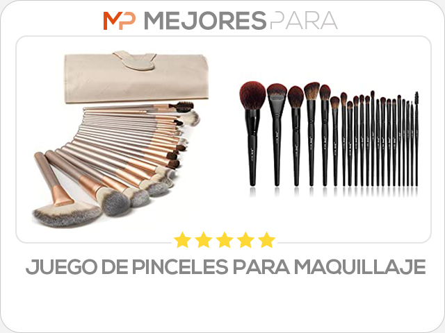 juego de pinceles para maquillaje