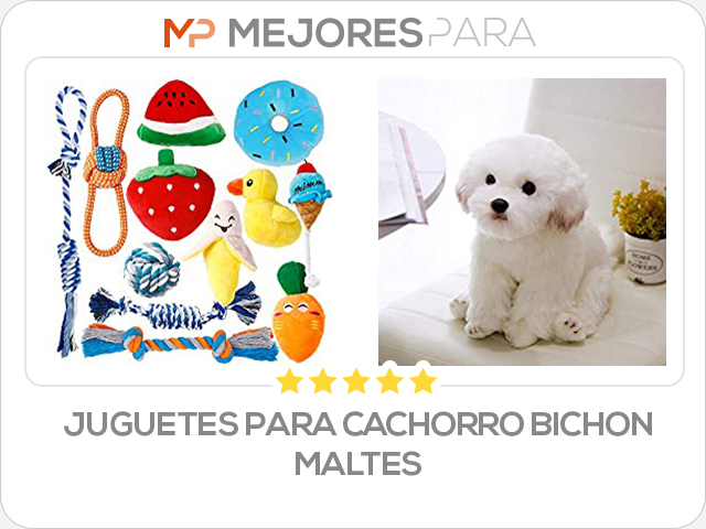 juguetes para cachorro bichon maltes