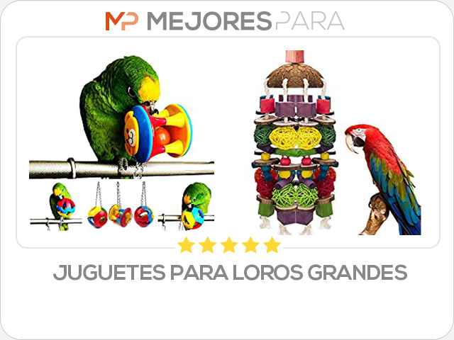 juguetes para loros grandes