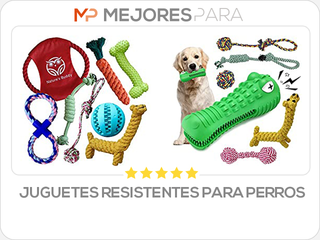 juguetes resistentes para perros