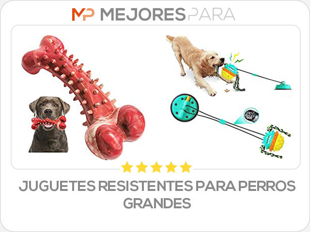 juguetes resistentes para perros grandes