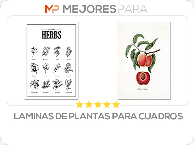 laminas de plantas para cuadros