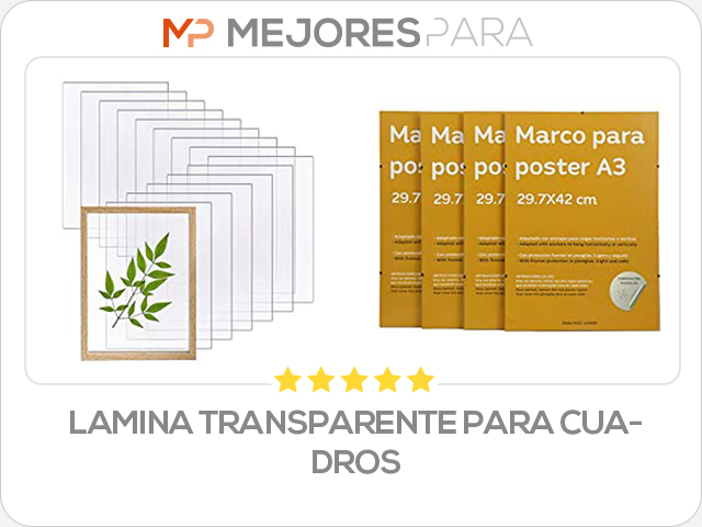 lamina transparente para cuadros