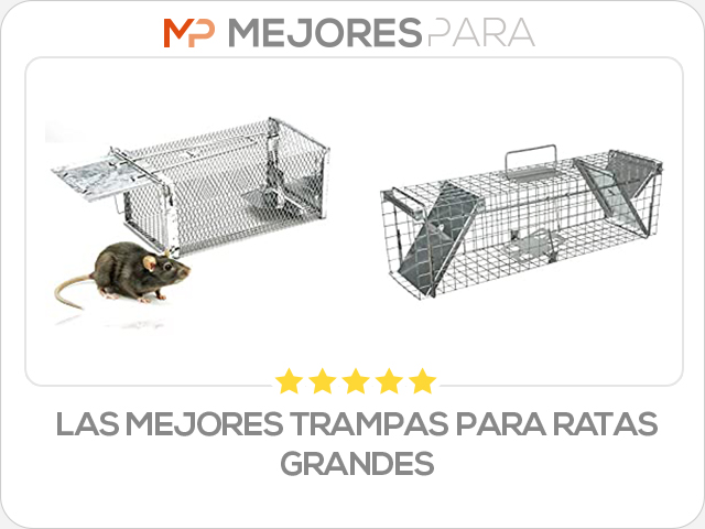 las mejores trampas para ratas grandes