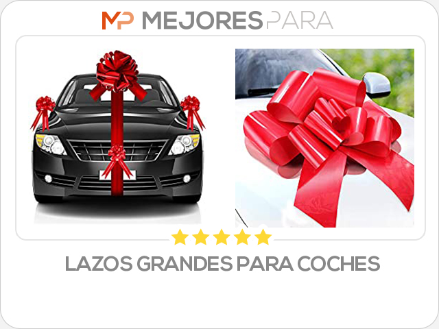 lazos grandes para coches