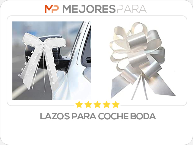 lazos para coche boda