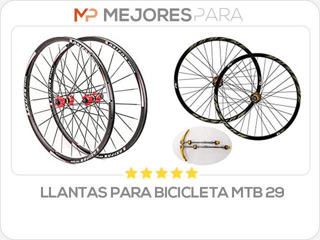 llantas para bicicleta mtb 29