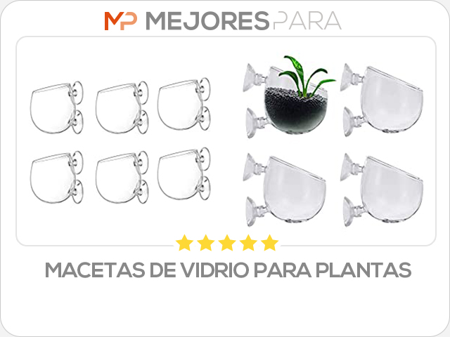 macetas de vidrio para plantas