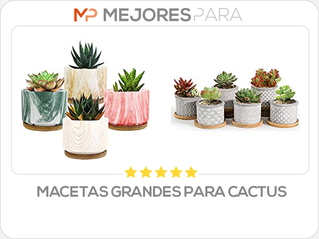 macetas grandes para cactus