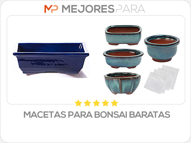 macetas para bonsai baratas