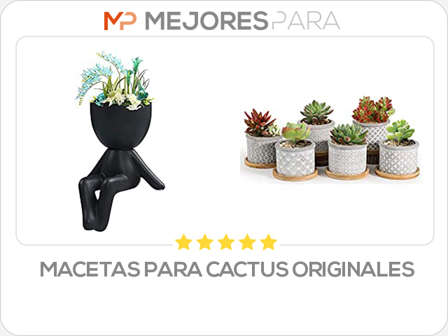 macetas para cactus originales