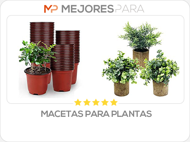 macetas para plantas