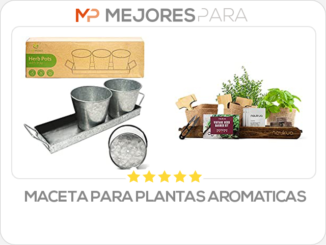 maceta para plantas aromaticas