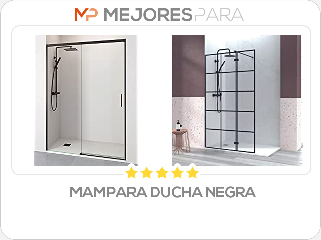 mampara ducha negra