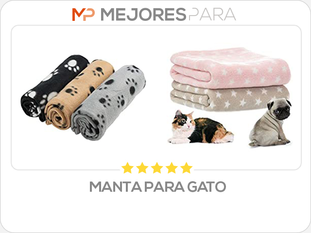 manta para gato