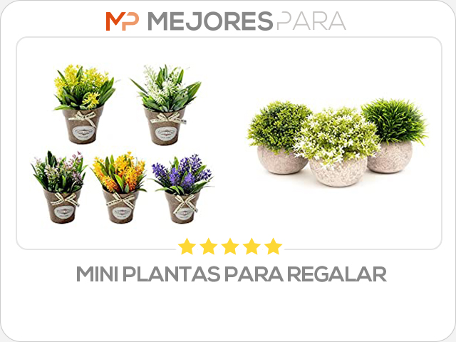 mini plantas para regalar