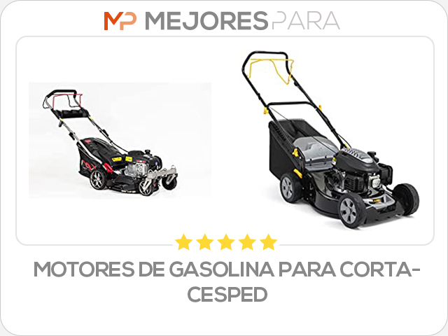 motores de gasolina para cortacesped