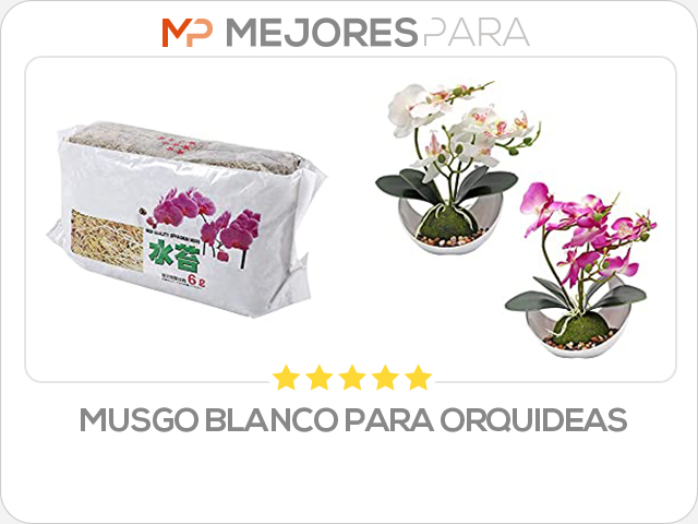 musgo blanco para orquideas