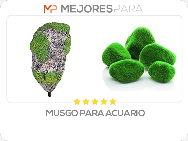 musgo para acuario