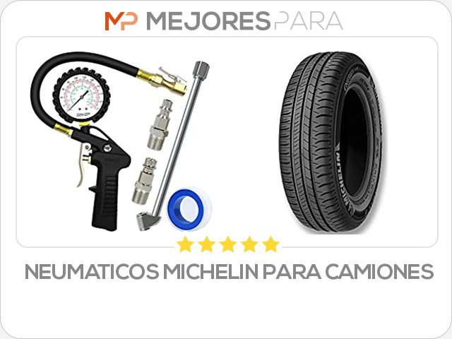 neumaticos michelin para camiones