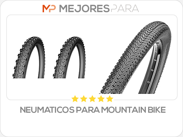 neumaticos para mountain bike