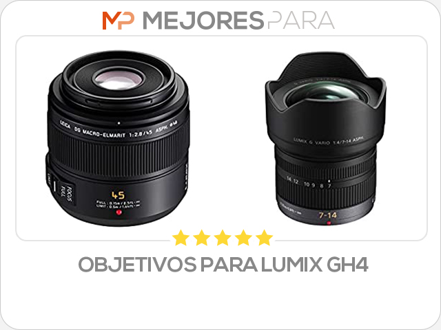 objetivos para lumix gh4