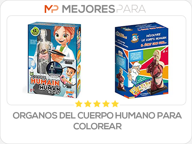 organos del cuerpo humano para colorear