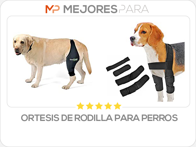 ortesis de rodilla para perros