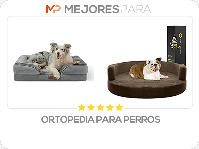 ortopedia para perros