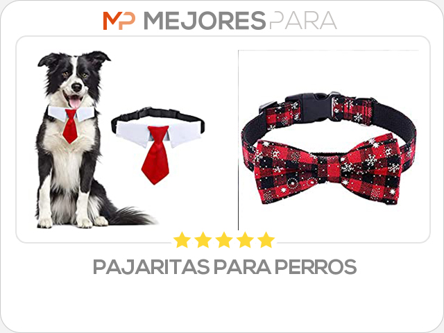 pajaritas para perros