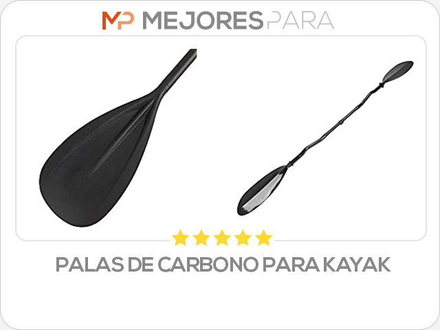 palas de carbono para kayak