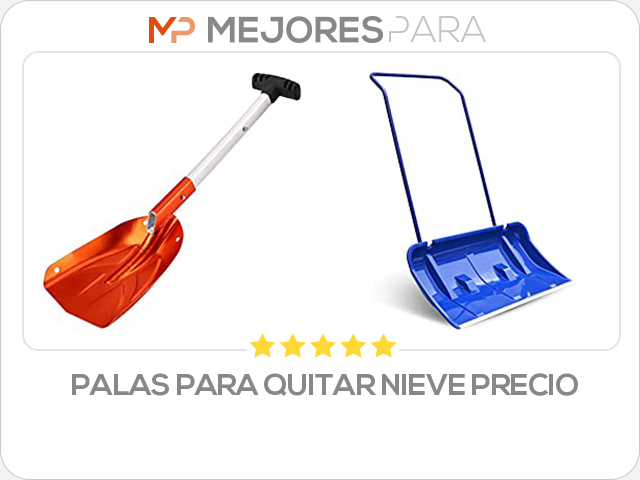 palas para quitar nieve precio